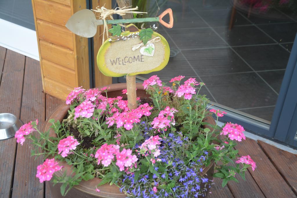 Les Condamines Bed & Breakfast Antoingt Luaran gambar